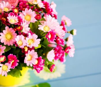 Waverton Florist