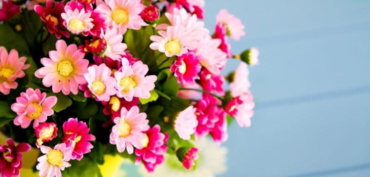 Waverton Florist