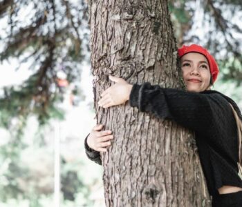 Hunters Hill arborist