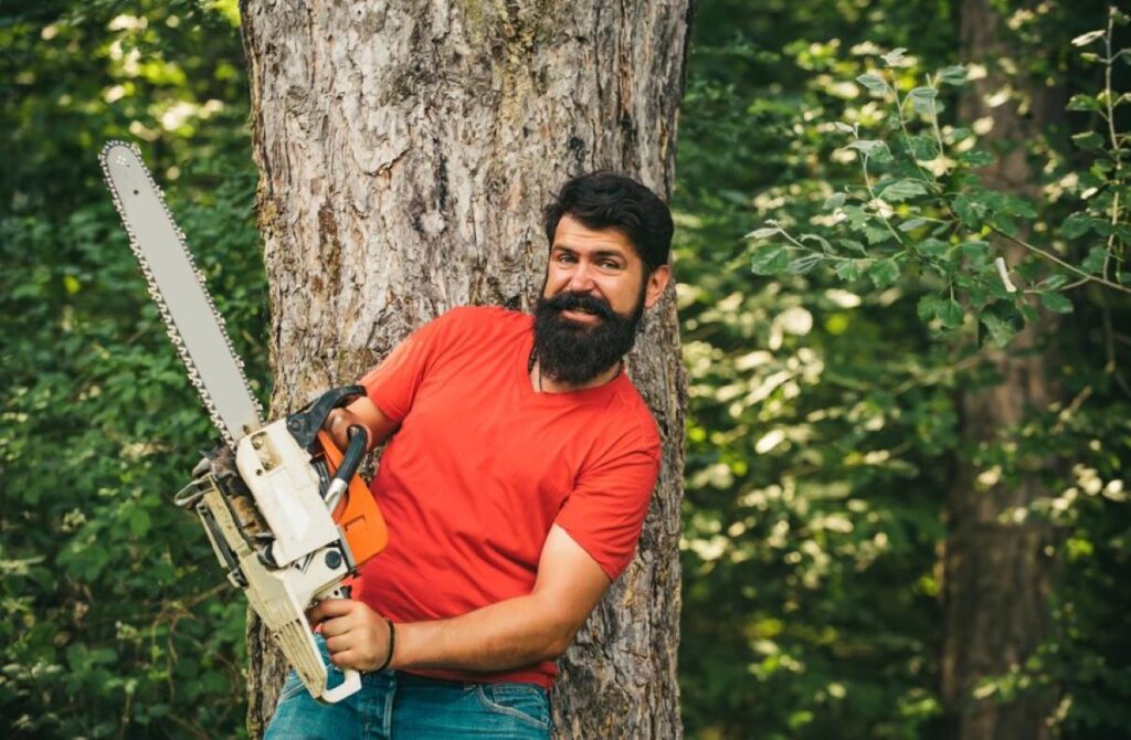 tree removal Gladesville